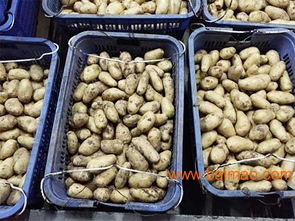 广东知名蔬菜配送公司盘点 聚焦虎门市场，解析餐饮服务新选择